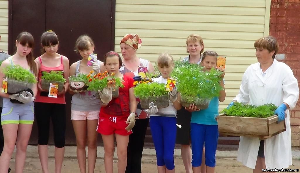 Конкурс наша красивая школа Конкурс наша красивая школа